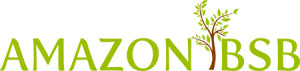 logo Amazon BSB